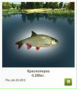 Євген Ковальчук фотография #34 (источник - https://vk.com/id151466630)