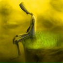 Фотография Usov Arsenii