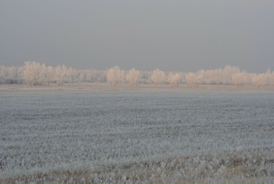 Yuri Bishaev фото №9