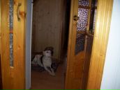 Назар Козоріз фотография #25 (источник - https://vk.com/id73048441)