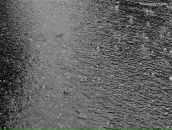 Фотография Десятова Александра