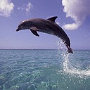 Фотография Поддубной Маргариты