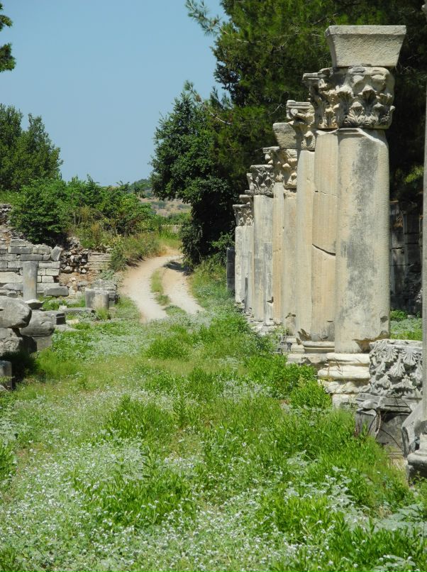 Денис Брилев фотография #12