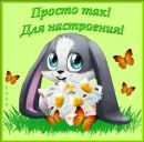 Діана Жданова фотография #11 (источник - https://vk.com/id168576607)