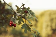 Віктор Сохан фотография #9 (источник - https://vk.com/id15919792)