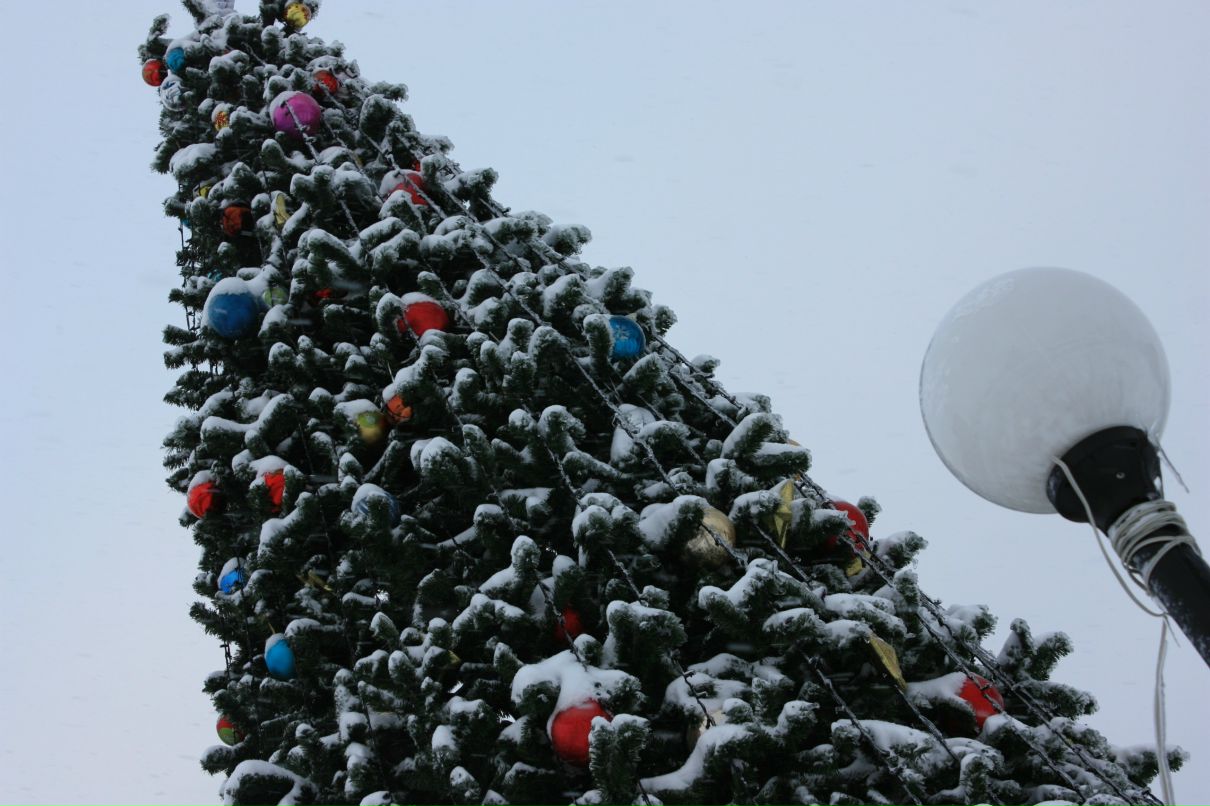 Ann Serzh фотография #31