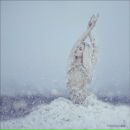 Діана Макарова фотография #41 (источник - https://vk.com/id148079080)