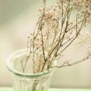 Фотография Океановой Ирины