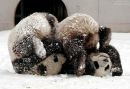 Фотография Кочнева Ромы