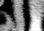 Андрій Мартиненко фотография #9 (источник - https://vk.com/id60899652)