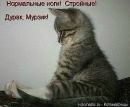 Фотография Константиновой Натальи