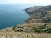 Пабло Пых фотография #22 (источник - https://vk.com/id1205765)