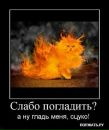 Фотография Митрофанова Сереги