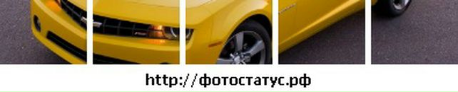 Андрій Швець фотография #47 (источник - https://vk.com/id143020249)