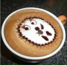 Фотография Шульгина Дениса