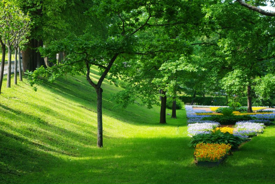 Сергей Ильин фото №48