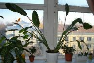 Фотография Бадагеевой Ольги