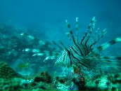 Фотография Усатюк Оли