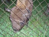 Фотография Курбатовой Елены