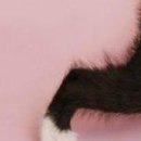 Олександра Сузінович фотография #29 (источник - https://vk.com/id67921577)