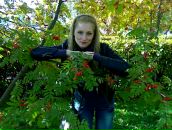 Фотография Меркуловой Александры