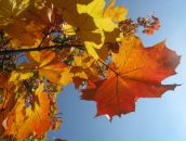 Фотография Фёдорова Ильи