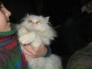 Діана Кобрин фотография #10 (источник - https://vk.com/id133335878)