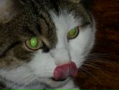 Фотография Караганова Евгения