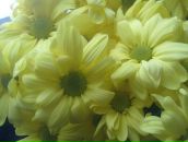 Фотография Сидоровой Ксении