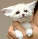 Фотография Фокина Игорька