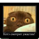 Аня Сілкова фотография #38 (источник - https://vk.com/id142446925)