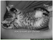 Фотография Головенко Елены