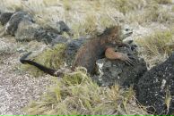 Фотография Фоминой Ксении