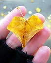 Лілька Кушнір фотография #24 (источник - https://vk.com/id155878610)