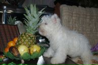 Фотография Натальи Натальи