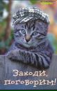 Віталік Батир фотография #9 (источник - https://vk.com/id132195440)