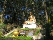 Фотография Владимировой Ольги