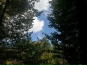 Віталій Панасюк фотография #10 (источник - https://vk.com/id67183575)