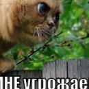 Вітя Бурмей фотография #14 (источник - https://vk.com/id143562390)