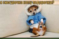 Фотография Шкрыгуновой Оли