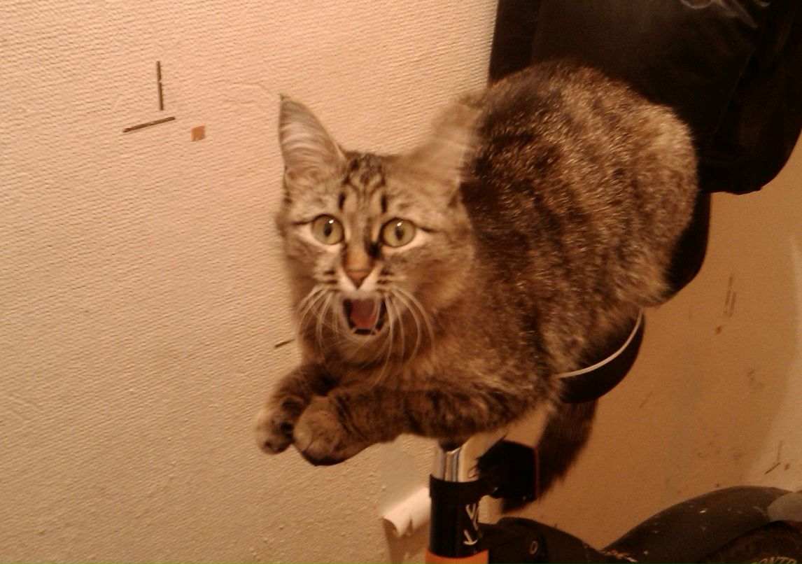 Игорь Теков фотография #15