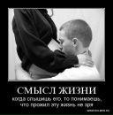 Вовік Кирилович фотография #4 (источник - https://vk.com/id152590878)