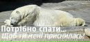Вовік Кирилович фотография #33 (источник - https://vk.com/id152590878)