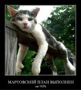 Фотография Ермакова Максима