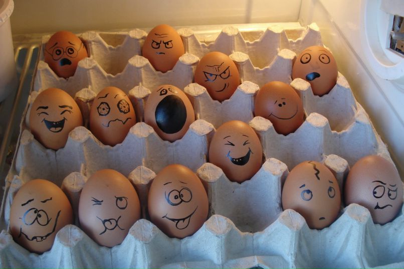 Димка Razryad фотография #28