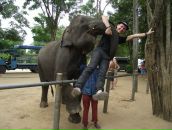 Фотография Музафарова Рената