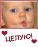  фотография #2