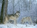 Ігор Мельник фотография #6 (источник - https://vk.com/id16046342)