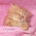Кіра Товмаш фотография #16 (источник - https://vk.com/id45985525)