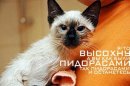 Надежда Чернова фотография #3 (источник - https://vk.com/id13716345)